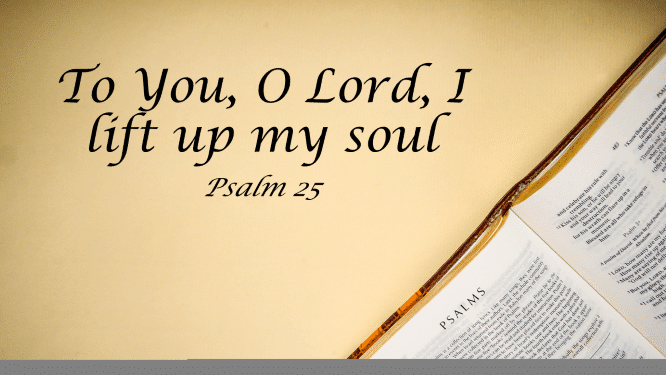 Featured image for “Psalm 25 – To You, O Lord, I Lift Up My Soul”